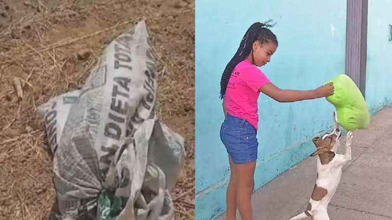 O terreno onde a cadela foi encontrada fica em frente à casa da família de Juliana e Ana Clara