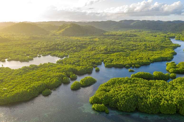 A Amazônia atrai os turistas por suas paisagens deslumbrantes e riqueza cultural