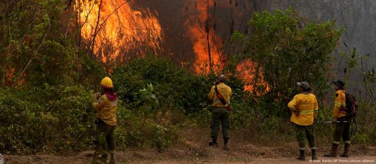 Fogo já consumiu mais de 7 milhões de hectares no distrito boliviano de Santa Cruz