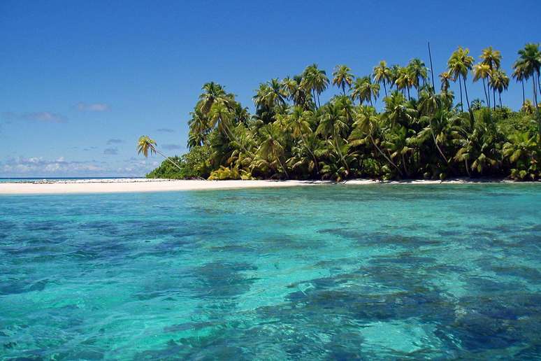 Palmeiras margeiam as praias de areia branca da ilha, que — segundo o site do Biot — tem um dos mares mais limpos do mundo