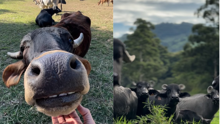 Santuário Vale da Rainha