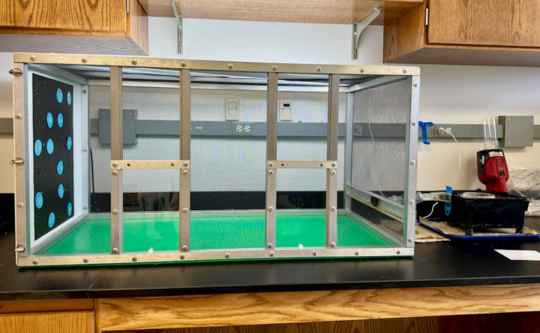 Configuração de laboratório mostrando uma caixa retangular com tela e discos de plástico azuis em uma extremidade. Na outra extremidade, há um pequeno orifício na tela que acomoda um tubo que leva a uma caixa preta menor.