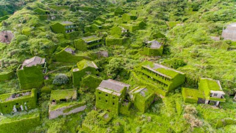 A natureza se instalou quando as pessoas deixaram a vila de pescadores de Houtouwan, em Zhejiang, Chinac Joe Nafis/Shutterstock