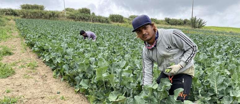 Agricultura portuguesa depende atualmente de imigrantes asiáticos