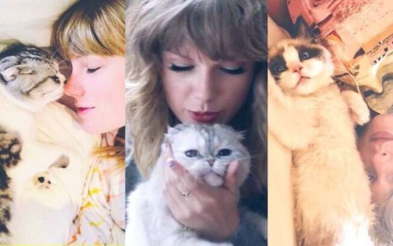 Taylor Swift e Meredith Grey, Olivia Benson e Benjamin Button