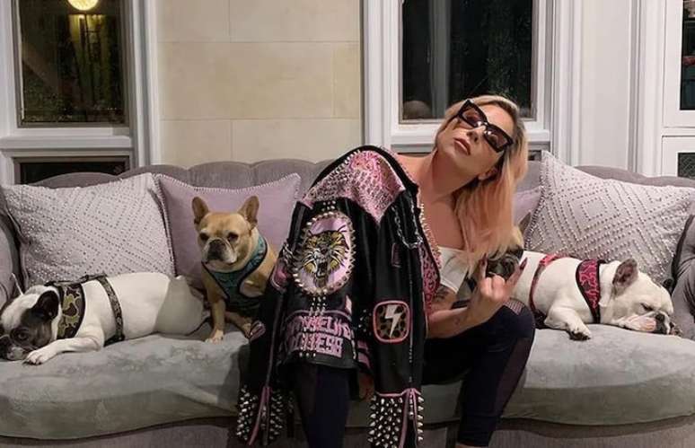 Lady Gaga e seus cachorros, Koji, Gustav e Asia