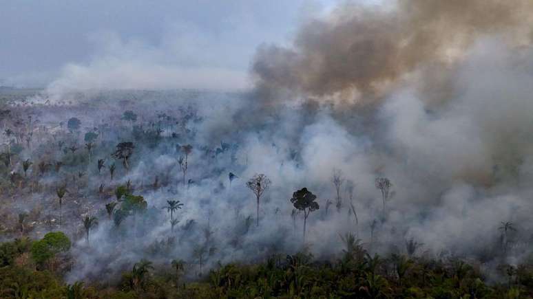 Mais de 62 mil km² de floresta amazônica já foram queimados neste ano