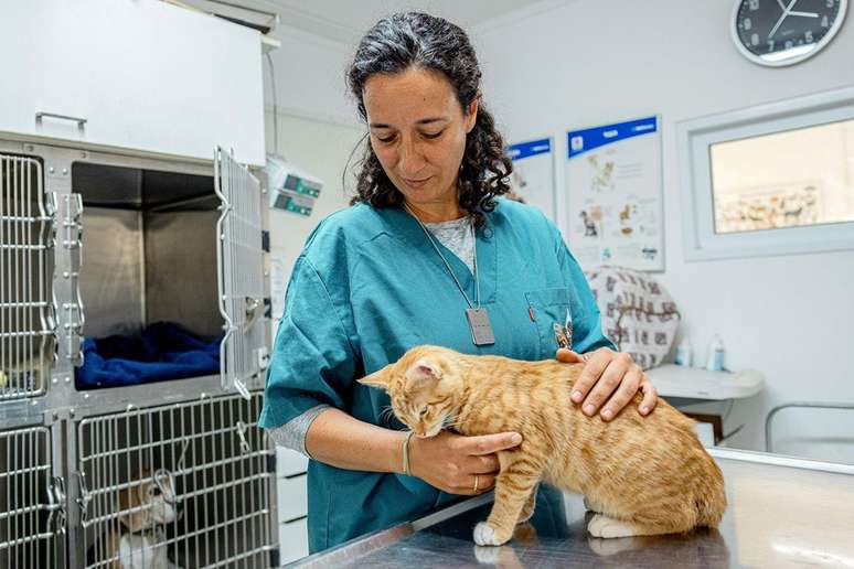 Shir voltou a Be'eri para trabalhar em sua clínica veterinária