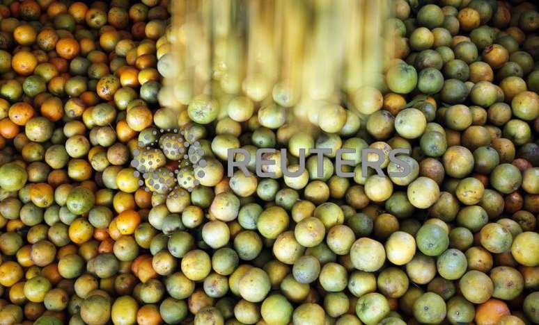 Laranjas são carregadas em caminhão em fazenda em Limeira
13/01/2012
REUTERS/Paulo Whitaker