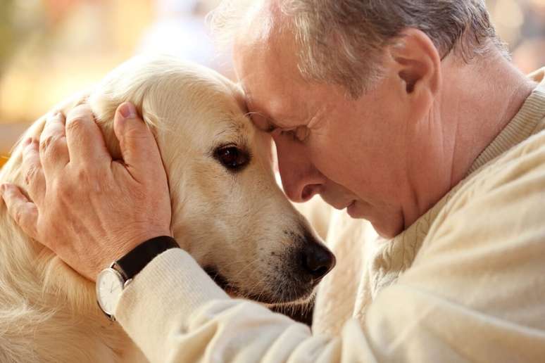 Animais com Síndrome da Disfunção Cognitiva precisam de cuidados especiais