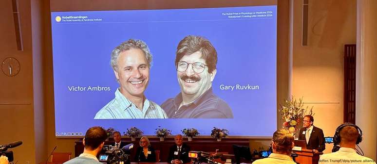 Prêmio Nobel de Medicina será concedido aos americanos Victor Ambros e Gary Ruvkun 