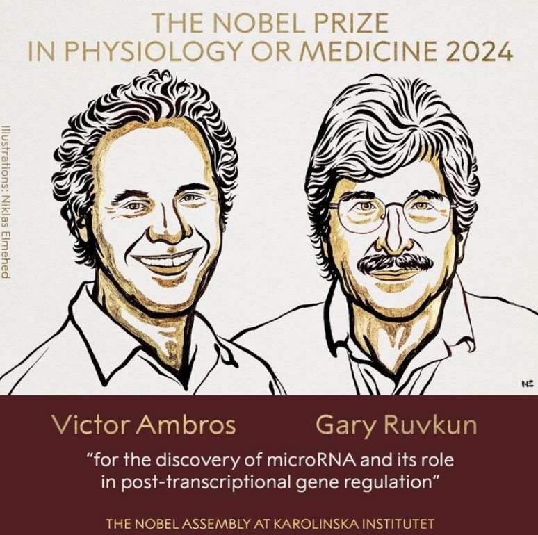 Victor Ambros e Gary Ruvkun são os ganhadores do Prêmio Nobel 2024 em Medicina.