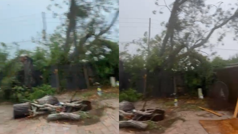 Quintal da casa do brasileiro Tony Camara por volta das 19h (horário de Brasília)