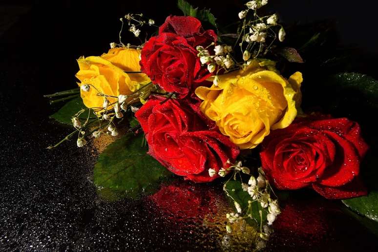 As rosas-amarelas e vermelhas s&atilde;o um &oacute;timo presente para Nossa Senhora Aparecida 