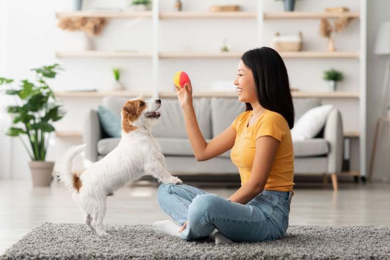 O reforço positivo pode beneficiar o cachorro e o tutor de diferentes maneiras