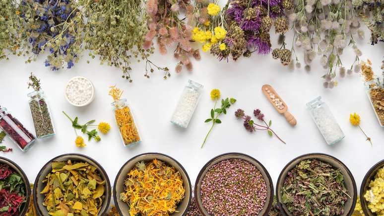 Conhe&ccedil;a as plantas que s&atilde;o rem&eacute;dios alternativas para tratar ansiedade ou depress&atilde;o