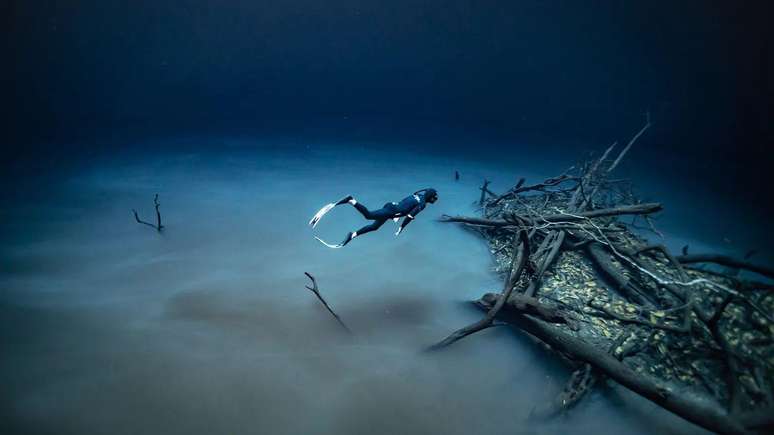 In einigen Cenoten finden Sie eine Schwefelwasserstoffschicht, die die Ansammlung von frischem Regenwasser und salzigem Meerwasser trennt.