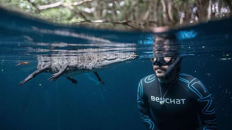 É comum crocodilos e outros animais se aproximarem de mergulhadores em cenotes