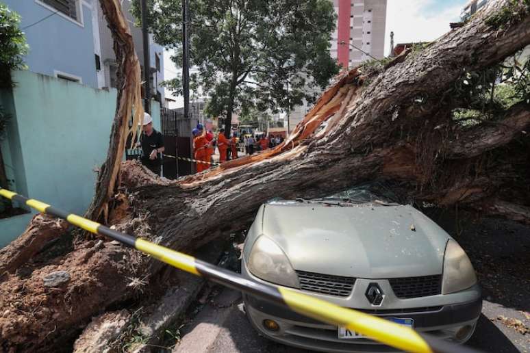 Tempestade derruba árvore sobre carros na Rua Catão no bairro da Lapa, zona oeste de São Paulo.