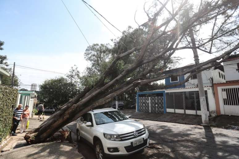 Um temporal com ventania atingiu diversas cidades paulistas no fim da tarde e início da noite da sexta-feira, 11. Queda de árvore na Rua Kaoro Oda, perto da Subprefeitura do Butantã e do Metro Vila Sônia, na zona oeste.