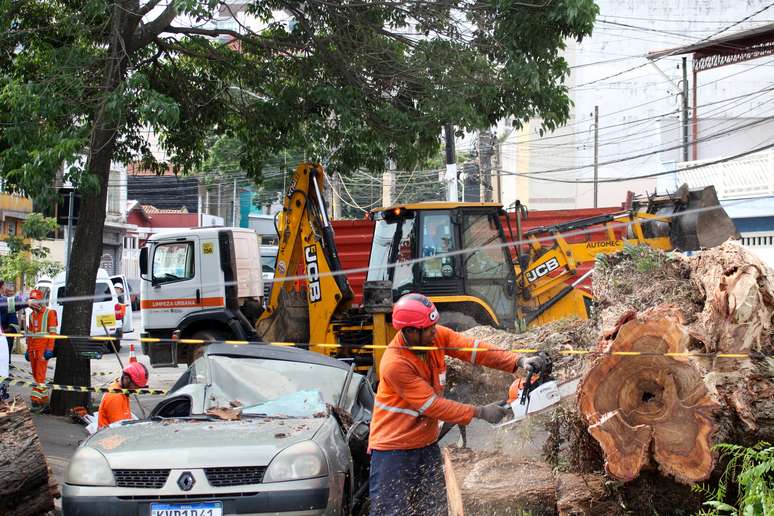 Temporal em SP provoca mortes, quedas de árvores e apagão em parte da cidade