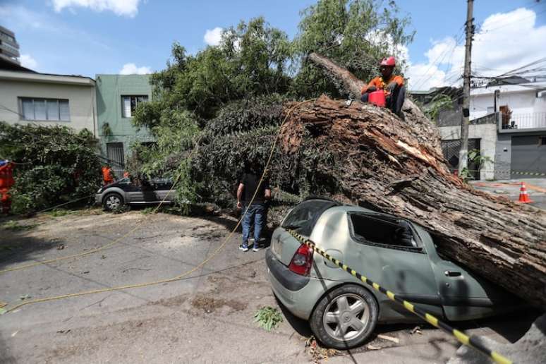 Tempestade derrubou árvore sobre carros na Rua Catão, bairro da Lapa, zona oeste de São Paulo. Árvore foi removida, mas ainda falta luz na região.