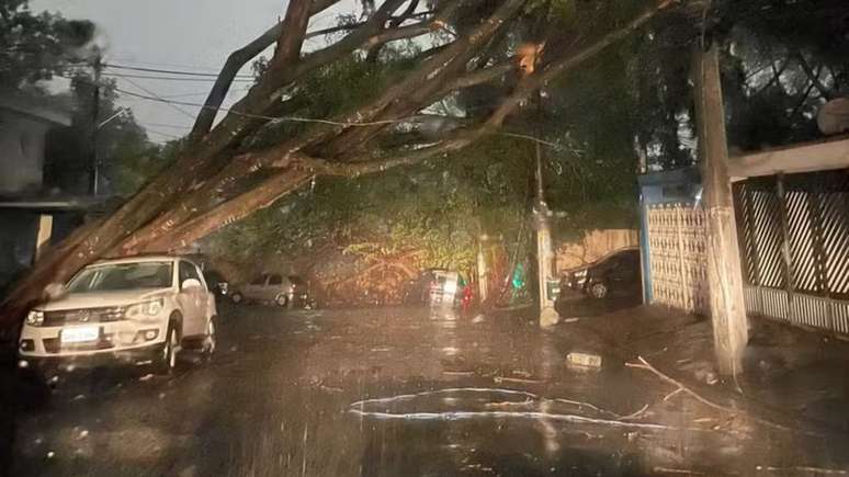 Tempestade em SP na sexta