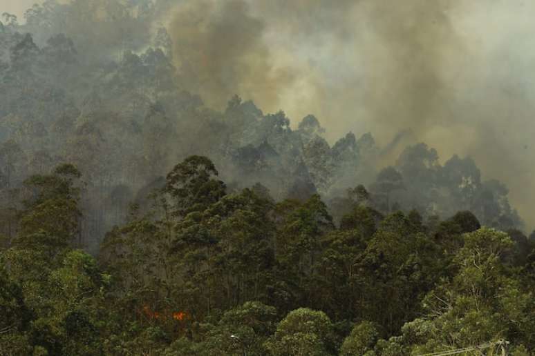 Incêndio em mata na cidade de Mairiporã, cidade da Grande São Paulo.