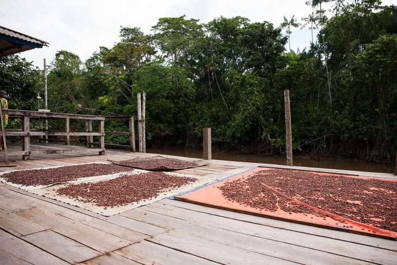 Na Casa do Chocolate do Combu é possível acompanhar o processo de produção de chocolate 100% orgânico 