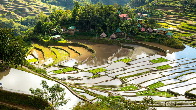 Os terraços de produção de arroz são usados há milhares de anos em muitos países asiáticos, como a China, Japão, Tailândia, Vietnã e as Filipinas