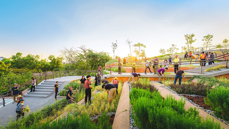 O telhado verde da Universidade Thammasat forma terraços em cascata, parecidos com os usados para a produção de arroz. Neles, são cultivados produtos orgânicos