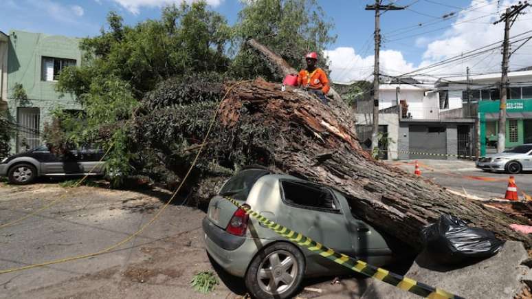 Tempestade anterior derrubou árvore sobre carros e obstruiu a passagem na Rua Catão, no bairro da Lapa, zona oeste de São Paulo.