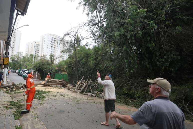 Registro de queda de árvores e luz na Rua Gregório Allegri, no Campo Limpo, zona sul de São Paulo.