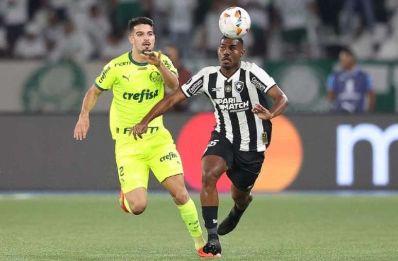 Botafogo e Palmeiras garantem vaga na Libertadores 2025