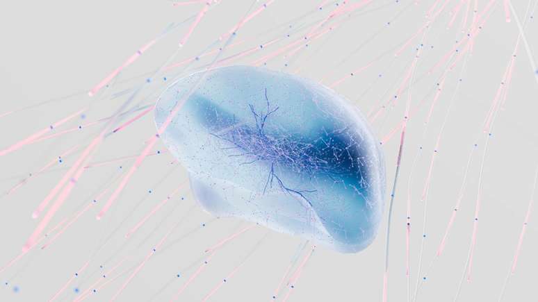 Ciclos de Sono e Frequências Cerebrais