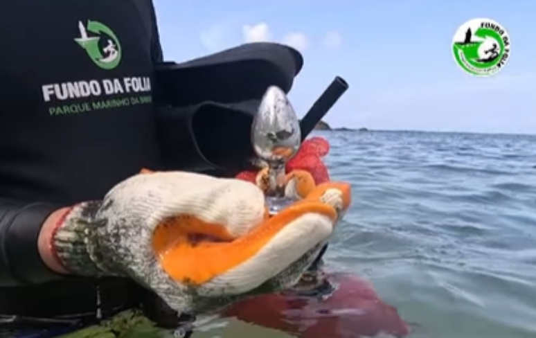 Mergulhadores encontram brinquedo erótico em praia