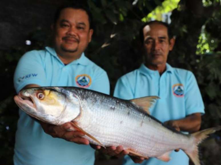 Pesquisadores mostram o peixe 'fantasma'