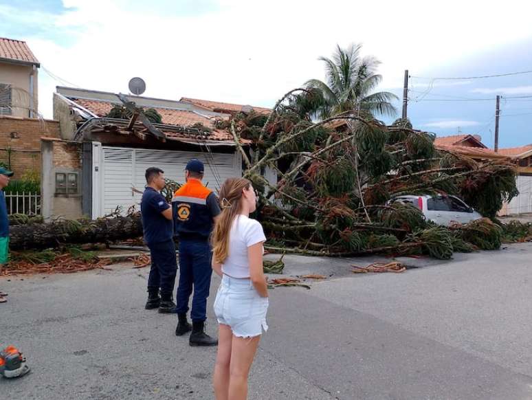 Em Taubaté, no interior, ventos de 76 km/h derrubaram árvores da cidade.