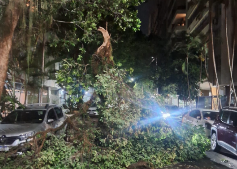 Quedas de árvores foram registradas em Copacabana