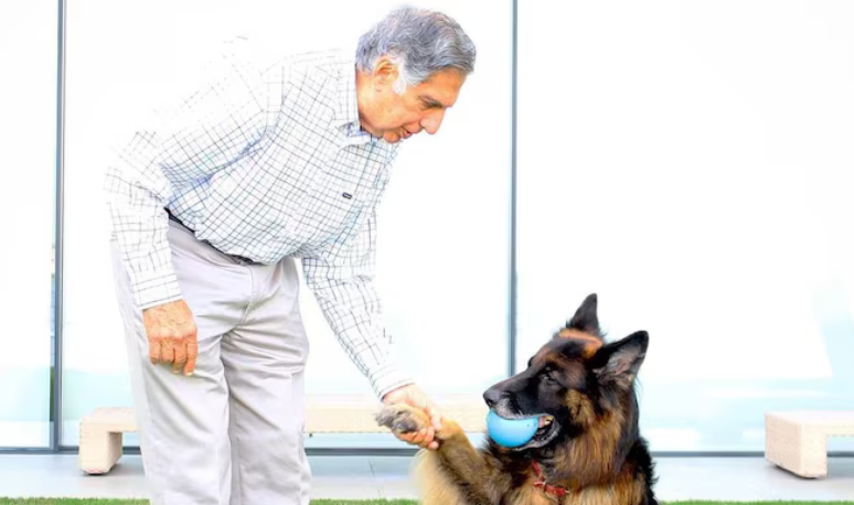 Ratan Tata ao lado do cachorro Tito, da raça pastor alemão