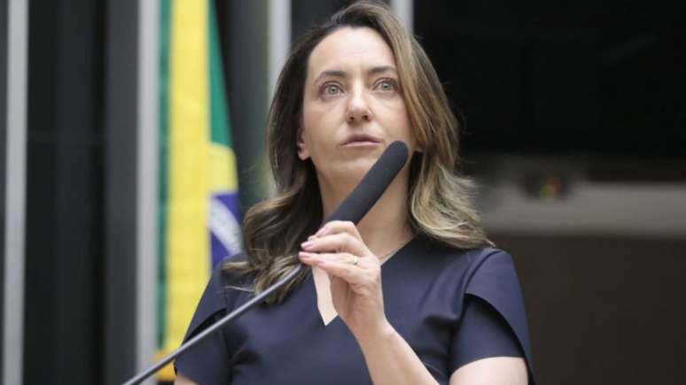 Rosangela Moro diz que texto sugere medidas para garantir participação na vida em sociedade