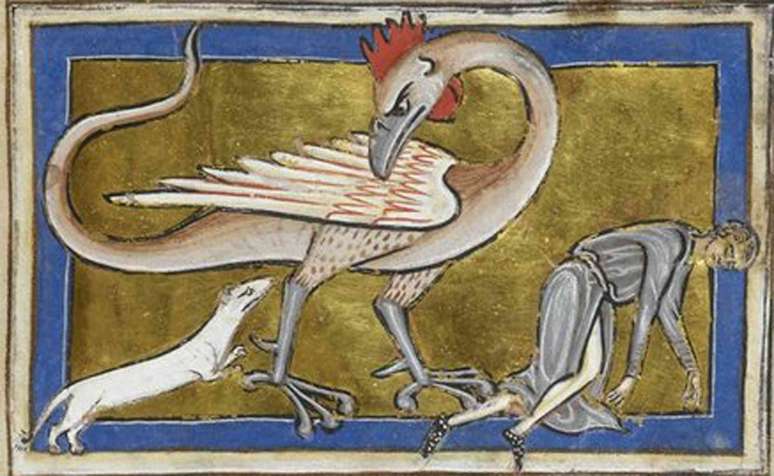 Um basilisco retratado em um bestiário (por volta de 1200-1225). British Library