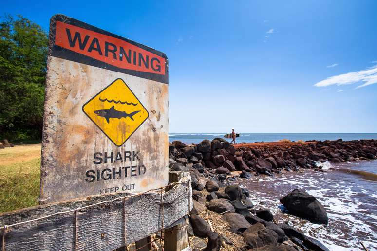 Tubarão atacou surfista no Havaí