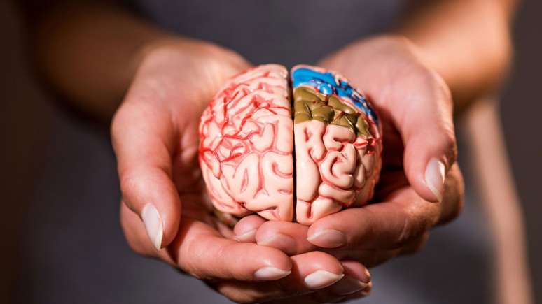 Brazilian scientists reveal unprecedented genetic factors associated with suicide