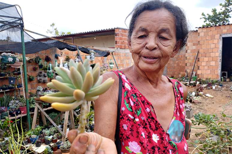 Maria das Graças dos Santos cultiva e vende suculentas na favela do Sol Nascente, em Brasília, a maior do Brasil.