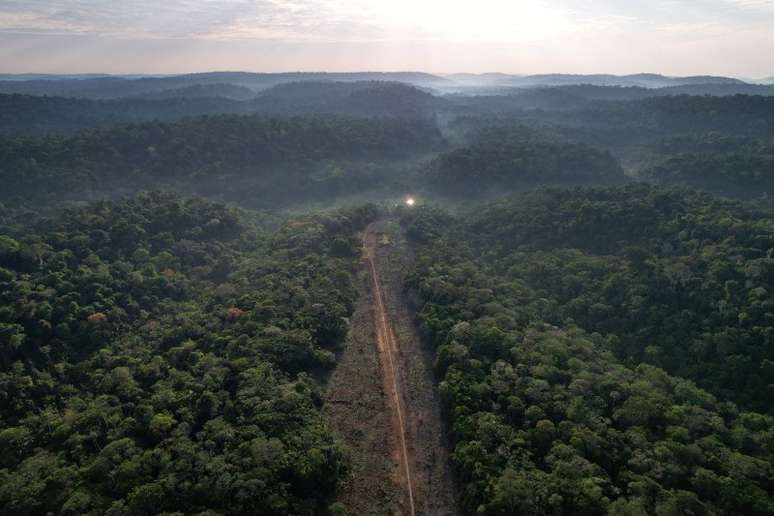 Pista de pouso clandestina para garimpo ilegal no Pará
21/07/2024
REUTERS/Adriano Machado