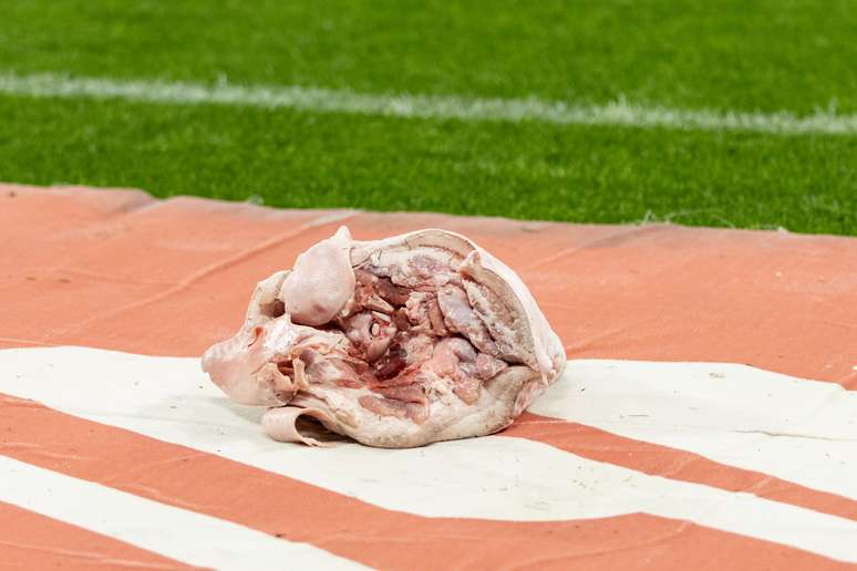 Eles jogam a cabeça do porco no campo