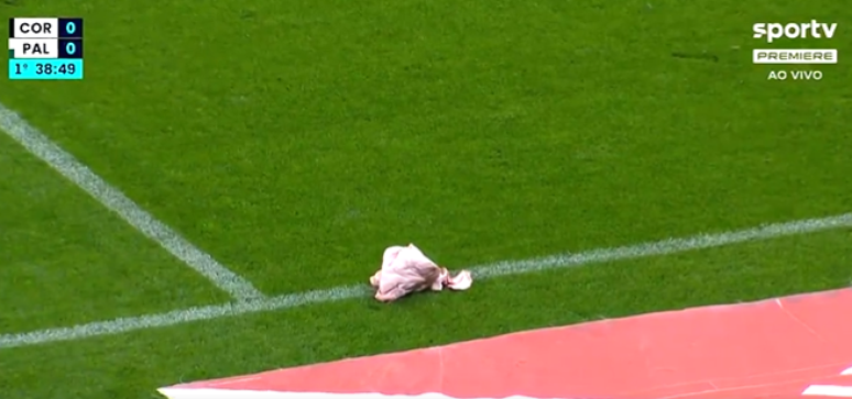 Cabeça de porco é jogada em campo em clássico entre Corinthians e Palmeiras