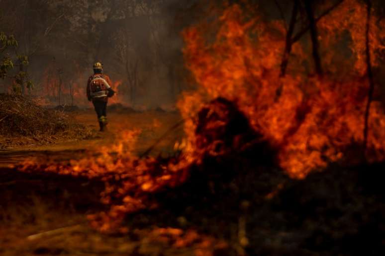 Brigadistas do Distrito Federal combatem incêndio em área de Cerrado próxima ao aeroporto de Brasília.