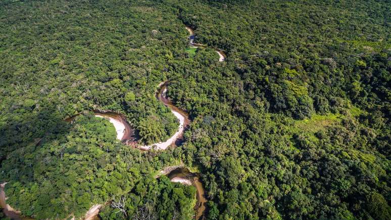 Amazônia